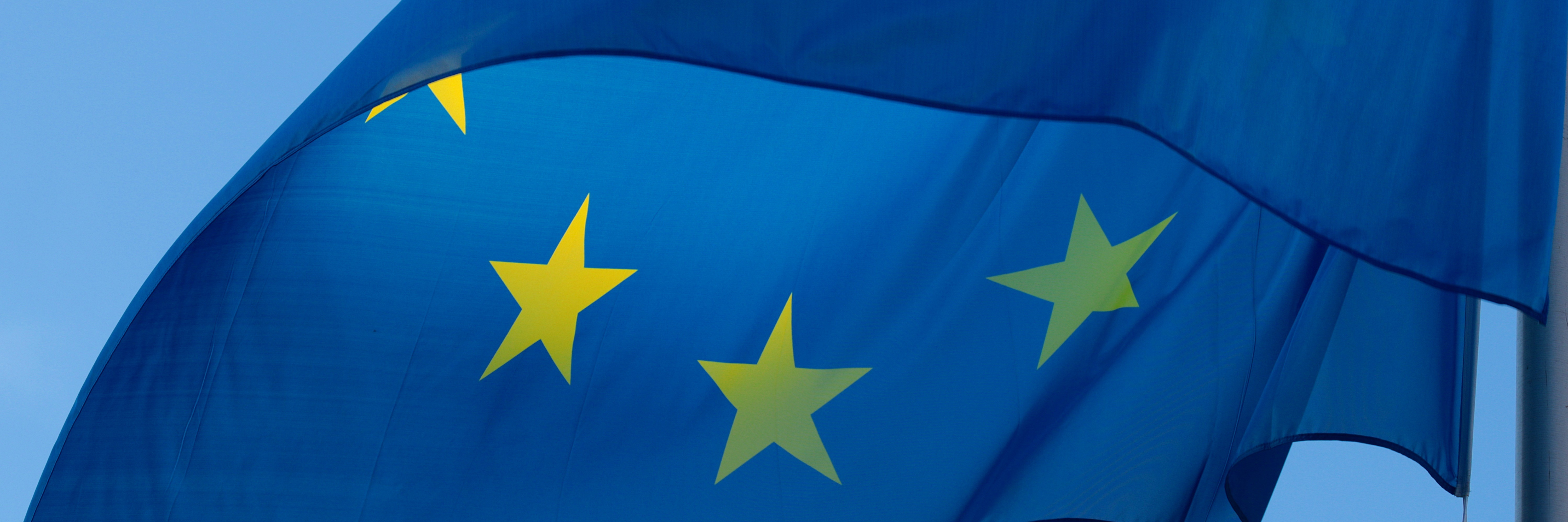 Detail of a European flag